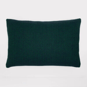 Check_long_blue-green_1