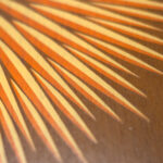 Model 2236 wall clock