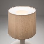 Glass Table Lamp with Raw Silk Shade