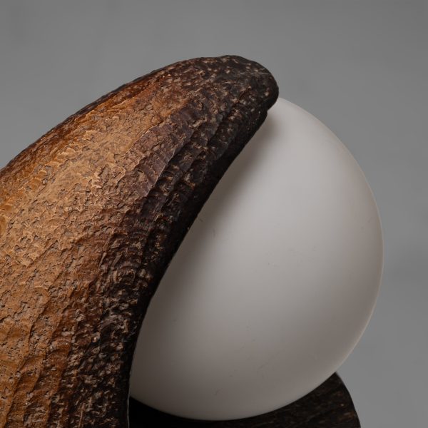 Earthy Ceramic Table Lamp